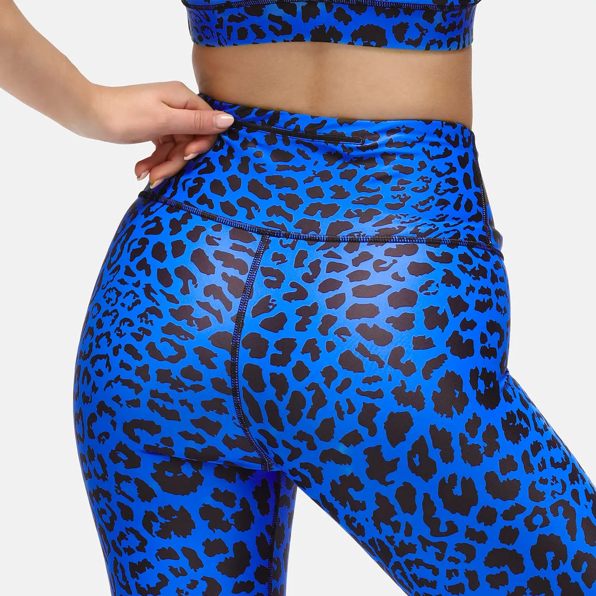 Cobalt Cat Leggings