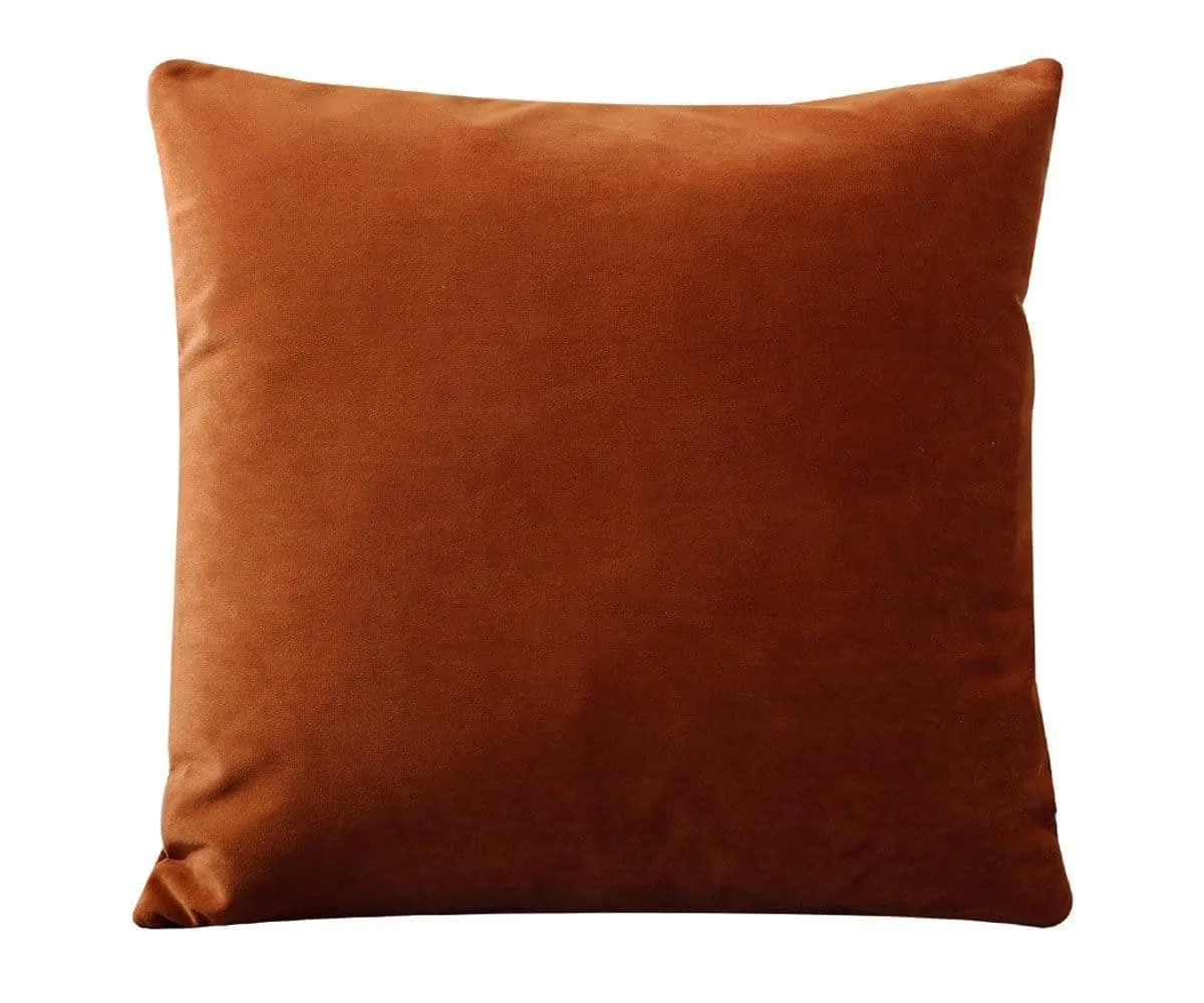 Joei Velvet Pillow