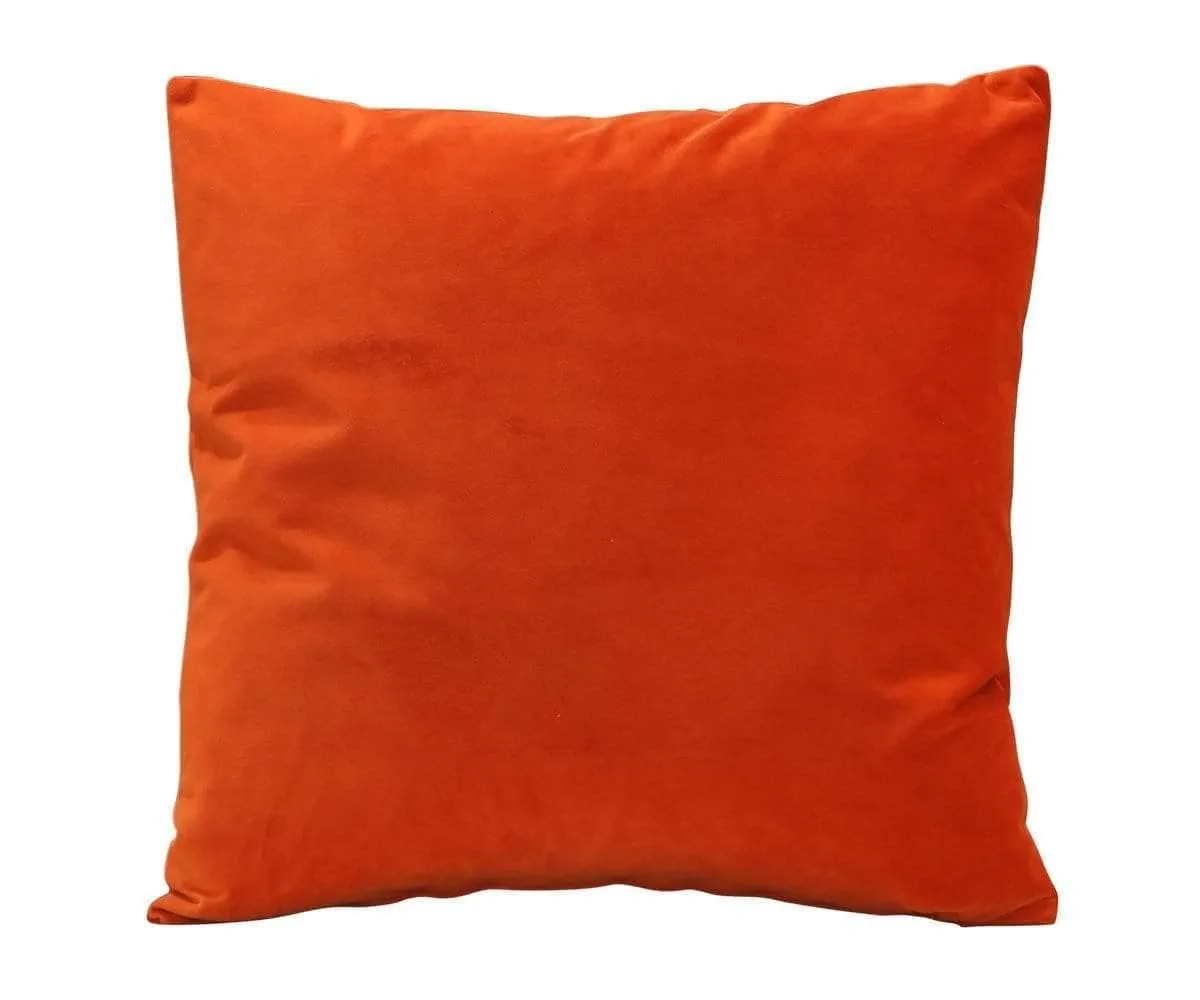 Joei Velvet Pillow