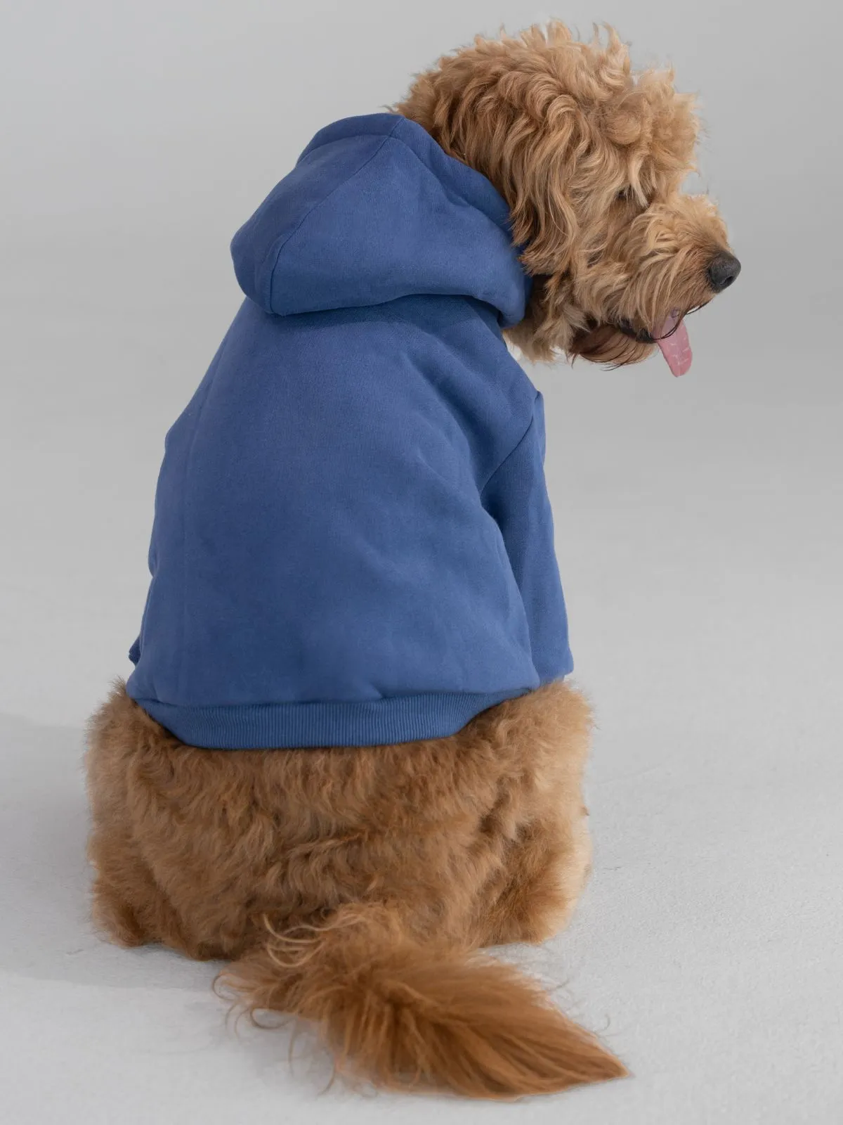 The Standard Paw Hoodie