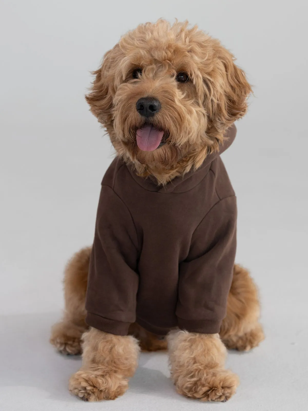 The Standard Paw Hoodie