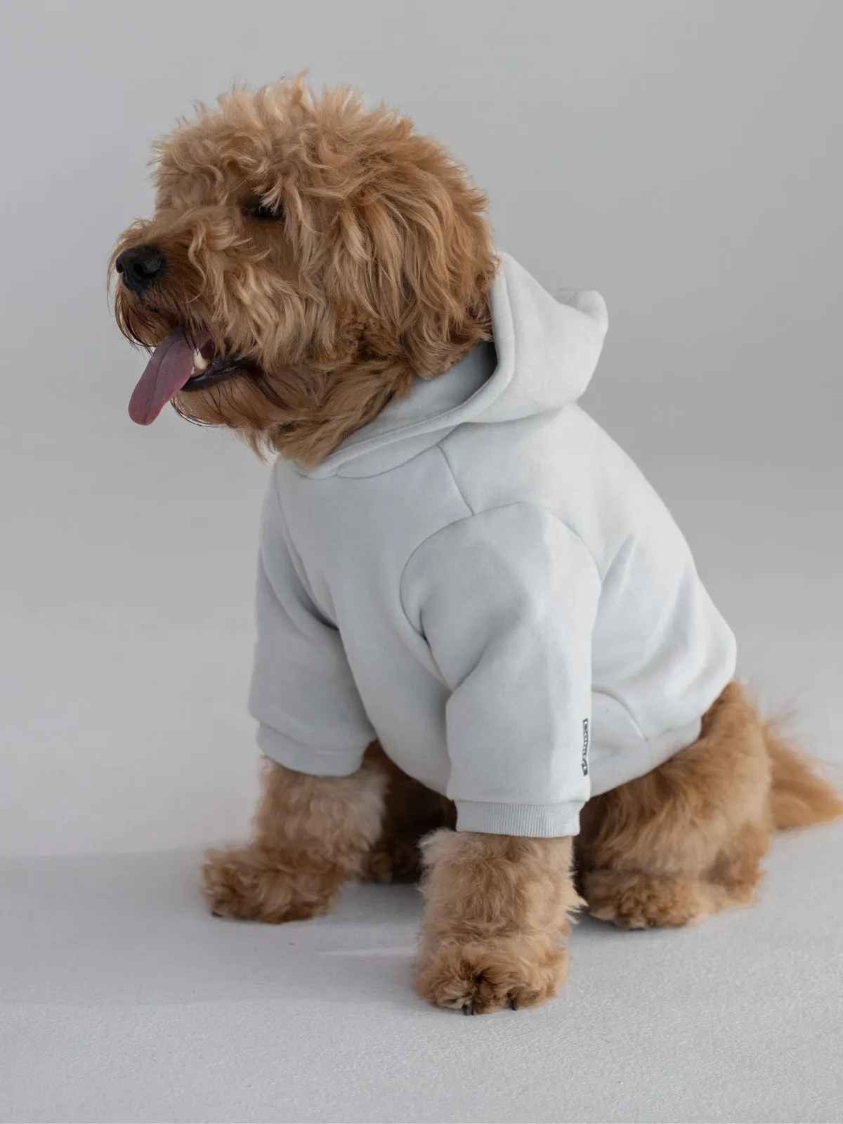 The Standard Paw Hoodie